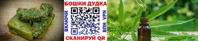 KRAKEN tor  Пенза  Canna-Cookies конопля  что такое наркотик 