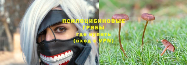 ПСИЛОЦИБИНОВЫЕ ГРИБЫ Белокуриха