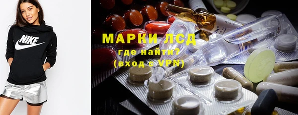 ПСИЛОЦИБИНОВЫЕ ГРИБЫ Белокуриха
