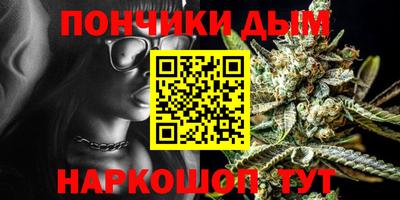 сатива Новодвинск
