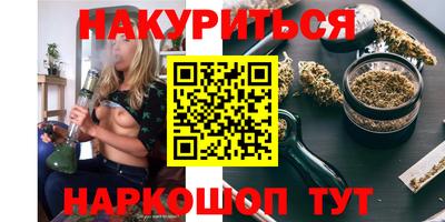 сатива Новодвинск